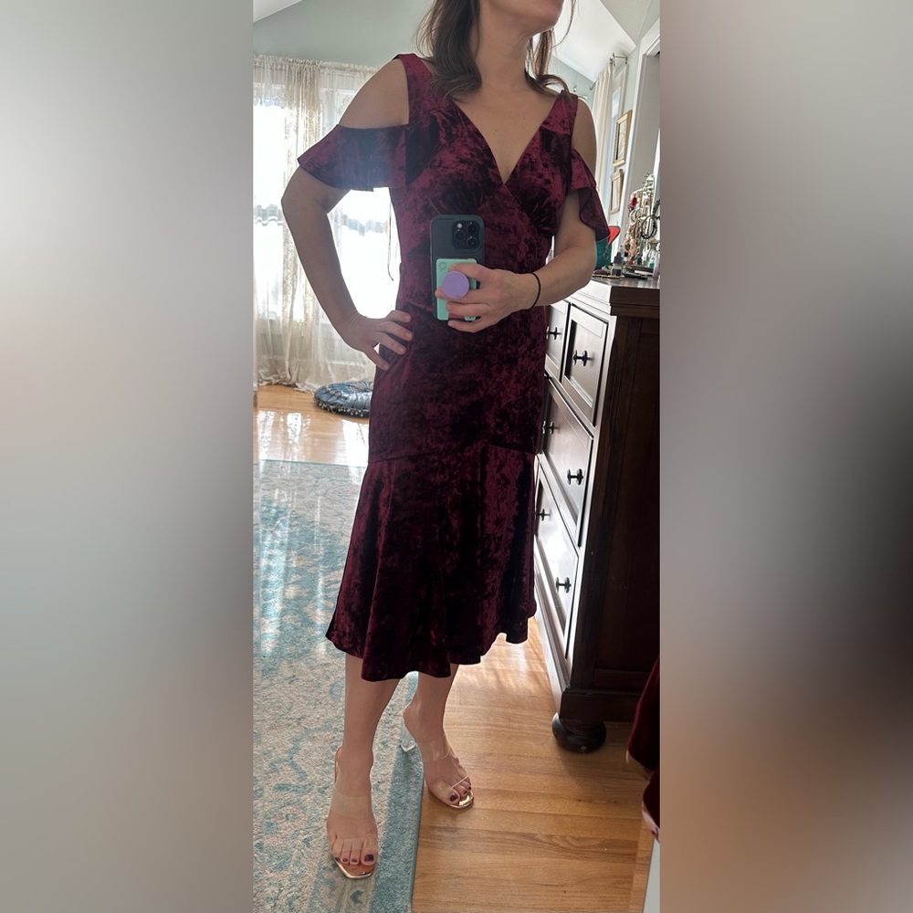 Velvet Adrianna Papell dress